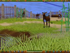 Zoo Empire