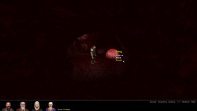 The Dwarf Run