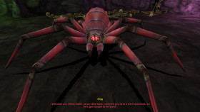 The Dwarf Run