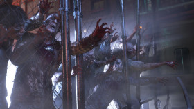 Raccoon City Edition