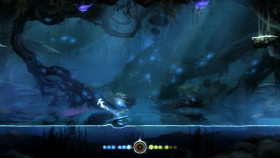 Ori and the Blind Forest - Definitive Edition