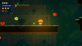 Lone Fungus
